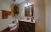 A bathroom with a white toilet, a dark wooden vanity with a white countertop, a mirror with wooden frame above the vanity, two wall-mounted lights above the mirror, a towel rack with brown towels on the left wall, and a green leafy plant hanging on the wall near the toilet.