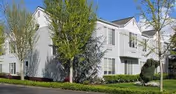 Exterior view of a two-story white residential building with multiple windows, surrounded by green trees and shrubs under a clear sky.