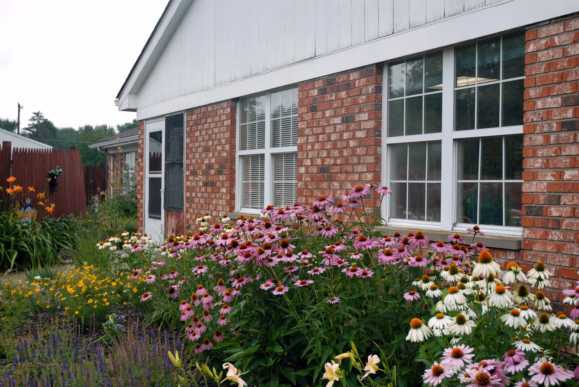 Exterior view of a brick building with white trim and large windows, surrounded by a garden filled with blooming flowers including pink, white, and yellow coneflowers and other plants. A wooden fence is visible in the background.