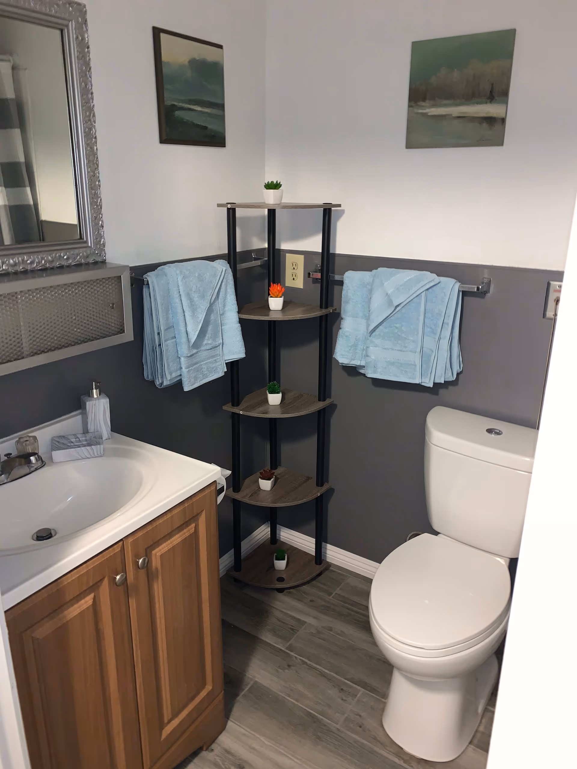 A small bathroom with a white toilet and a wooden vanity with a white sink. There are light blue towels hanging on two towel racks on the wall. A corner shelf unit holds small potted plants. The walls are painted white on the upper half and gray on the lower half. Two framed paintings hang on the wall above the towels.