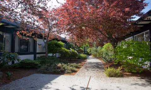 Stone walkway between shrubs and trees beside Sherwood Assisted Living buildings.