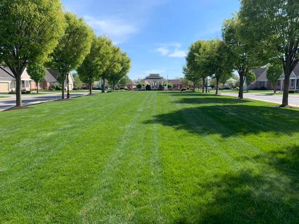 A wide, well-maintained green lawn with evenly spaced trees on both sides, flanked by residential-style buildings. In the distance, there is a gazebo structure with an American flag, under a clear blue sky.