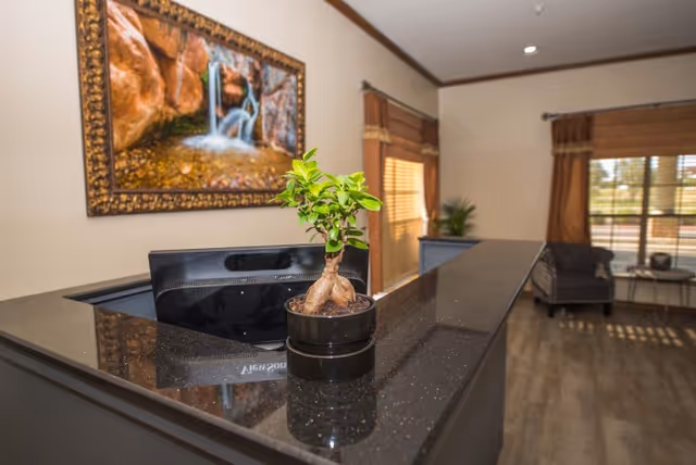 Reception desk with a small potted plant on a black granite countertop in a room with wooden flooring, a framed picture of a waterfall on the wall, and windows with brown curtains letting in natural light. There is a chair and a small table in the background near the windows.