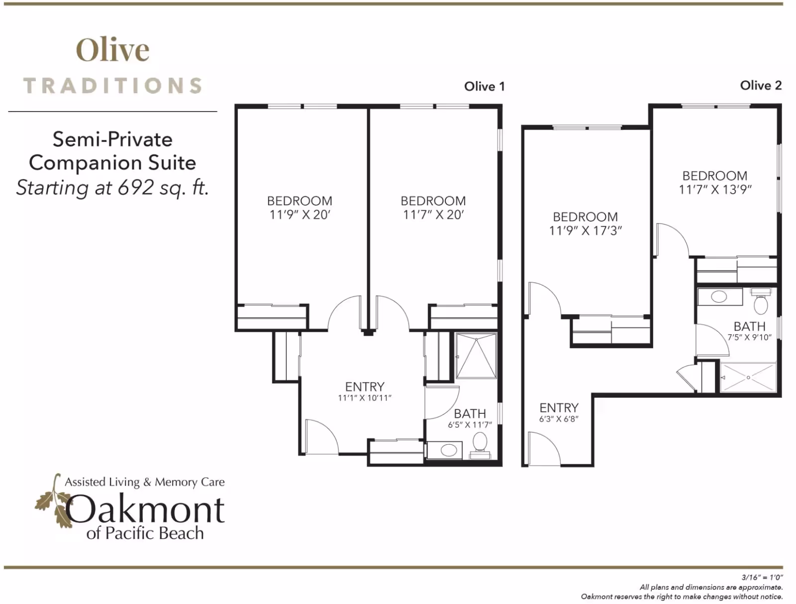 Floor plan layout for Olive Traditions Semi-Private Companion Suite at Oakmont of Pacific Beach, showing two configurations named Olive 1 and Olive 2. Olive 1 includes two bedrooms, an entry area, and a bathroom. Olive 2 includes two bedrooms, an entry area, and a bathroom as well, with dimensions provided for each room.