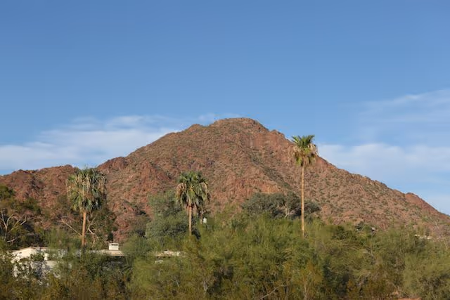 A scenic view of a rocky mountain with sparse vegetation and several tall palm trees in the foreground under a clear blue sky.