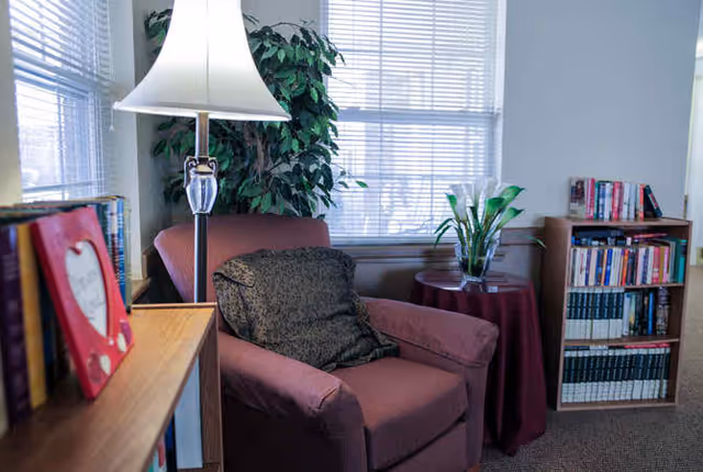 Cozy reading nook with an upholstered armchair, floor lamp, side table with a plant, and bookshelves by sunlit windows.