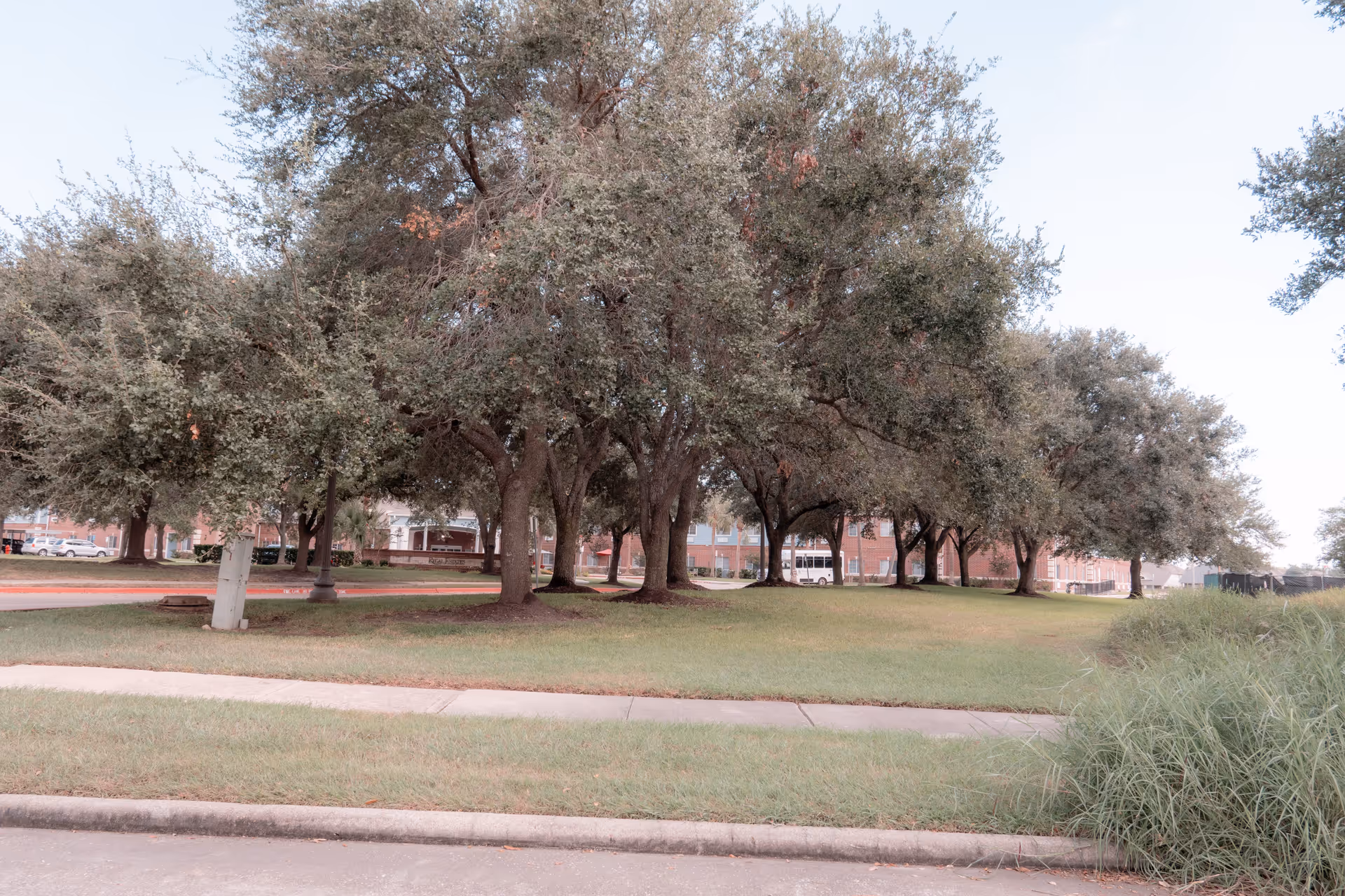 Grassy lawn and sidewalk lined with large oak trees in front of a brick senior living building.