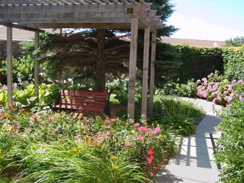 A garden area with a wooden pergola and a wooden bench underneath it. The garden is lush with various green plants and colorful flowers, including pink blooms. A paved walkway curves through the garden, and there is a tall tree providing shade in the background.