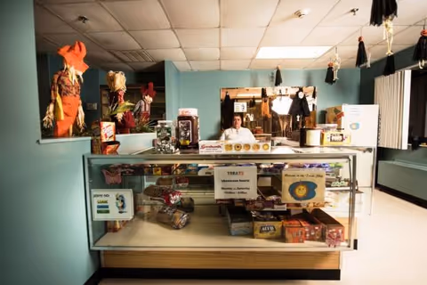Interior view of a small snack shop or concession stand with a glass display case containing various snacks and treats. A person is seated behind the counter. The room has light blue walls and ceiling tiles, with Halloween decorations hanging from the ceiling and placed around the counter.