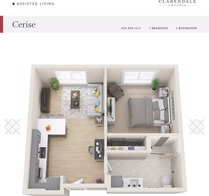 3D floor plan of a one-bedroom, one-bathroom assisted living apartment named Cerise at Clarendale Arcadia. The layout includes a kitchen with an island and three bar stools, a living room with a sofa, coffee table, TV, and plant, a bedroom with a bed, nightstands, chair, TV, and plant, and a bathroom with a shower, toilet, and sink. There is also a small desk area near the kitchen.