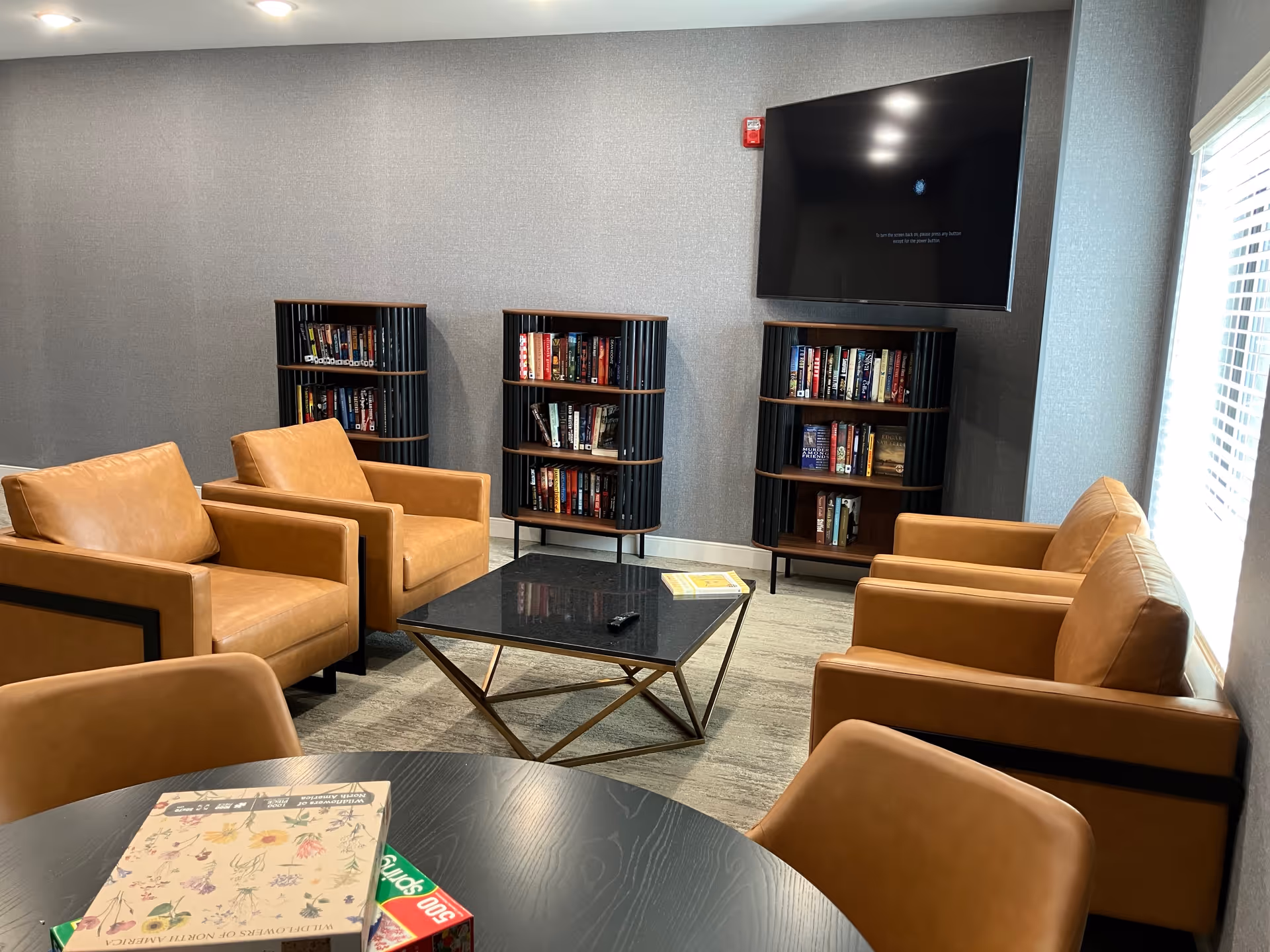 Comfortable lounge with tan leather armchairs around a central coffee table, bookshelves, and a wall-mounted TV.
