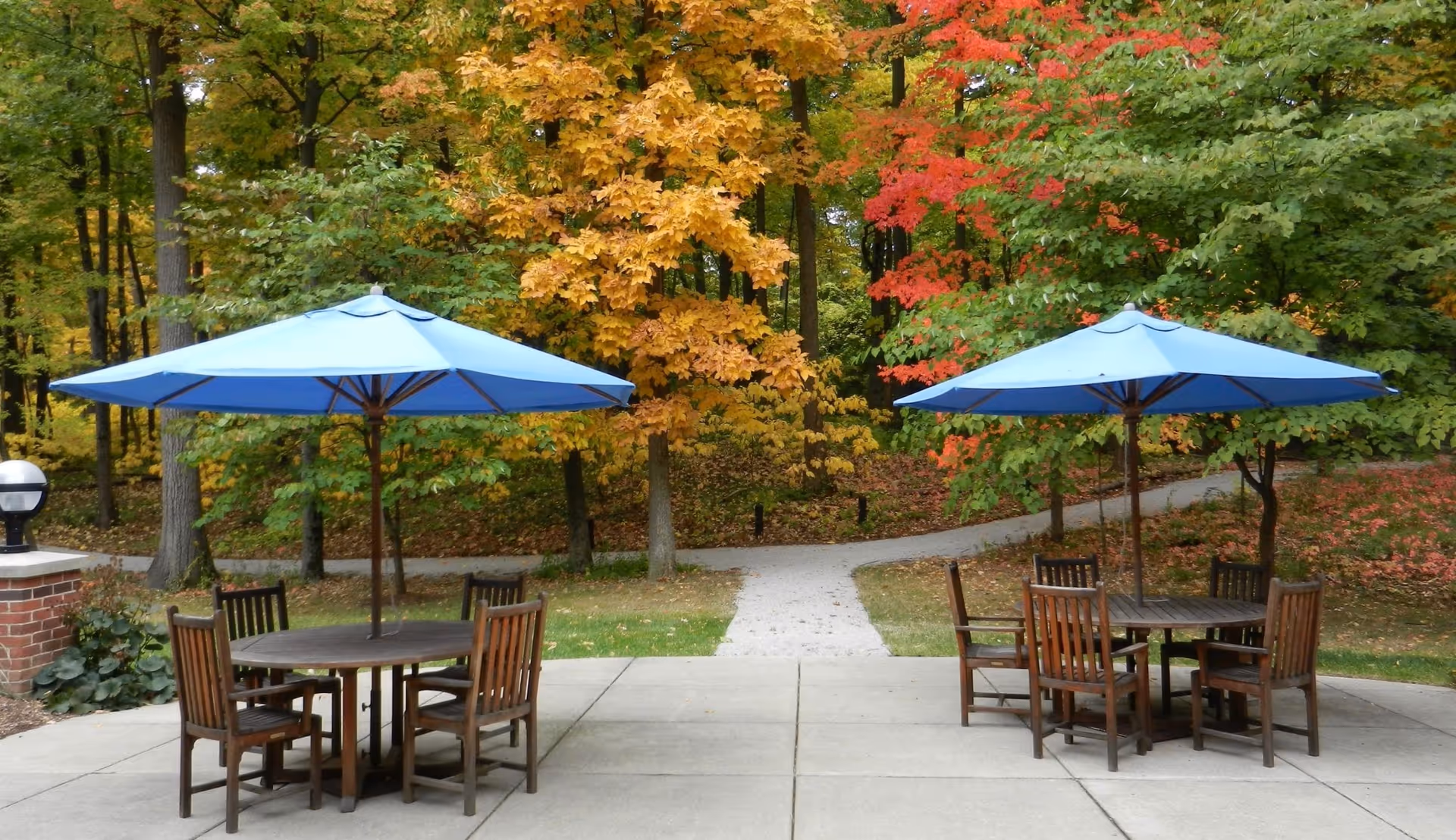 Patio with two wooden dining tables and blue umbrellas on a paved area overlooking a tree-lined path with autumn foliage.