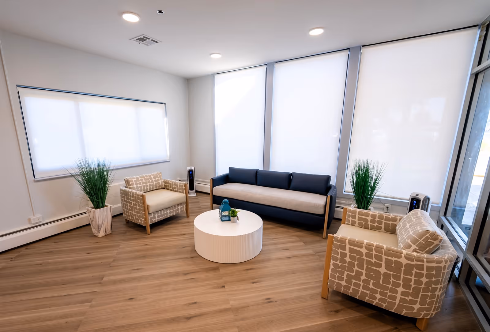 A modern living room with a blue and beige sofa, two patterned armchairs, a round white coffee table with small decorative plants, large windows with white blinds, wooden flooring, and two tall potted plants in the corners.