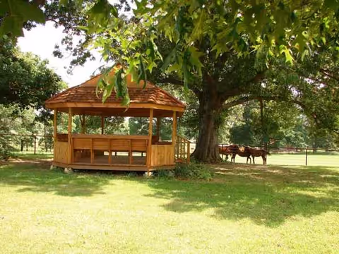 Wooden gazebo on a sunlit grassy area with large trees and horses nearby.