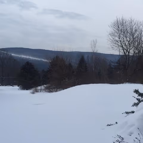 Snow-covered landscape with leafless trees and evergreen trees in the foreground, and a mountain range in the background under a cloudy sky.