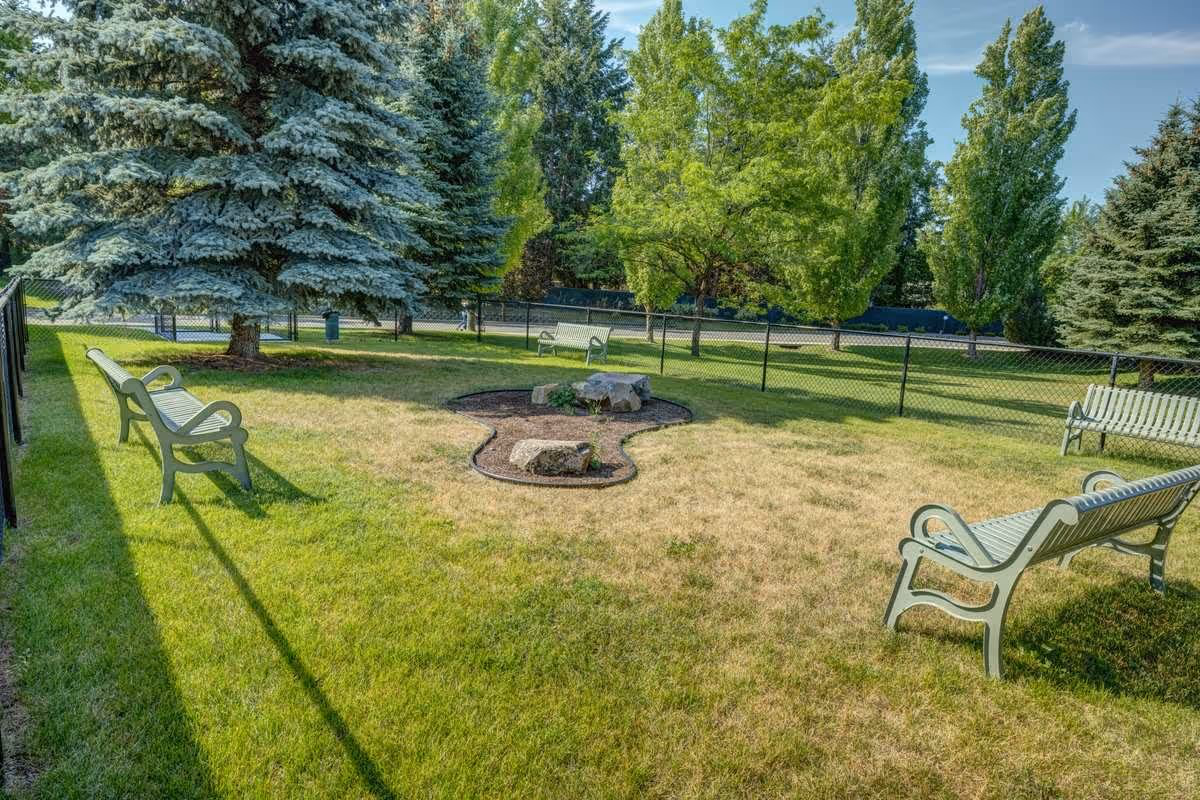 Outdoor garden area with green grass, several green benches arranged around a small landscaped section with rocks and plants, surrounded by a black chain-link fence and tall trees in the background under a blue sky.