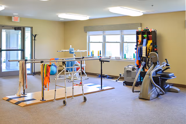 A rehabilitation or physical therapy room with parallel bars, a walker, exercise equipment including a stationary bike, therapy balls, and various colorful therapy bands and tools organized on a rack. The room has beige walls, carpeted floor, and large windows letting in natural light.