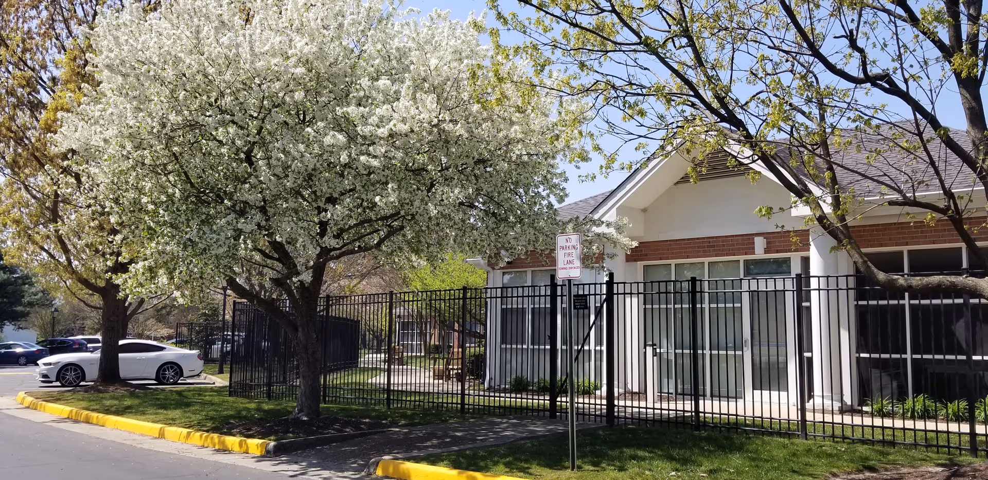 Front exterior of a senior living building behind a black metal fence with blossoming trees and a parked white car.