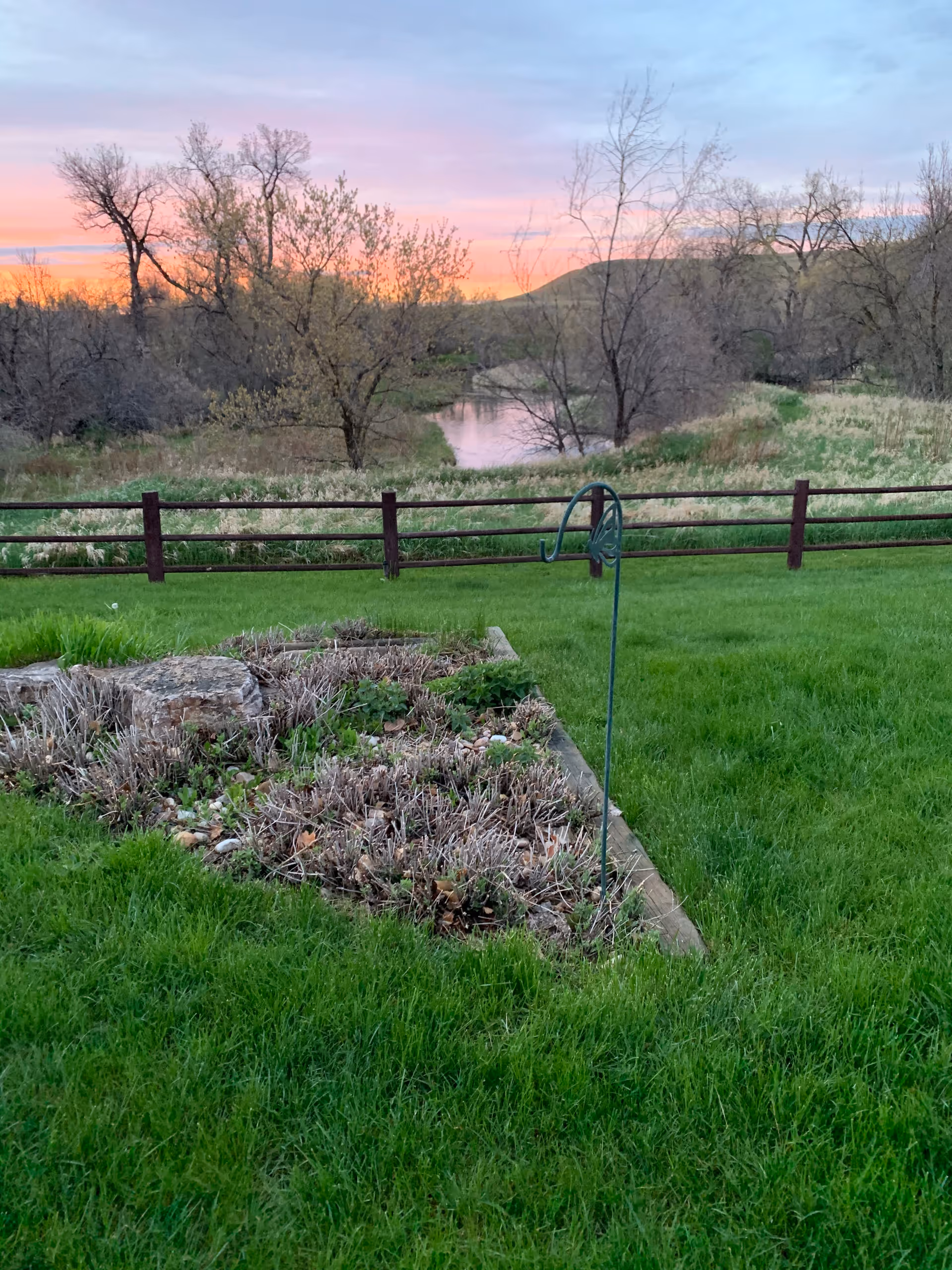 A grassy outdoor area with a small garden bed containing some plants and rocks, a metal garden hook, a wooden fence, leafless trees, and a river in the background under a colorful sunset sky.