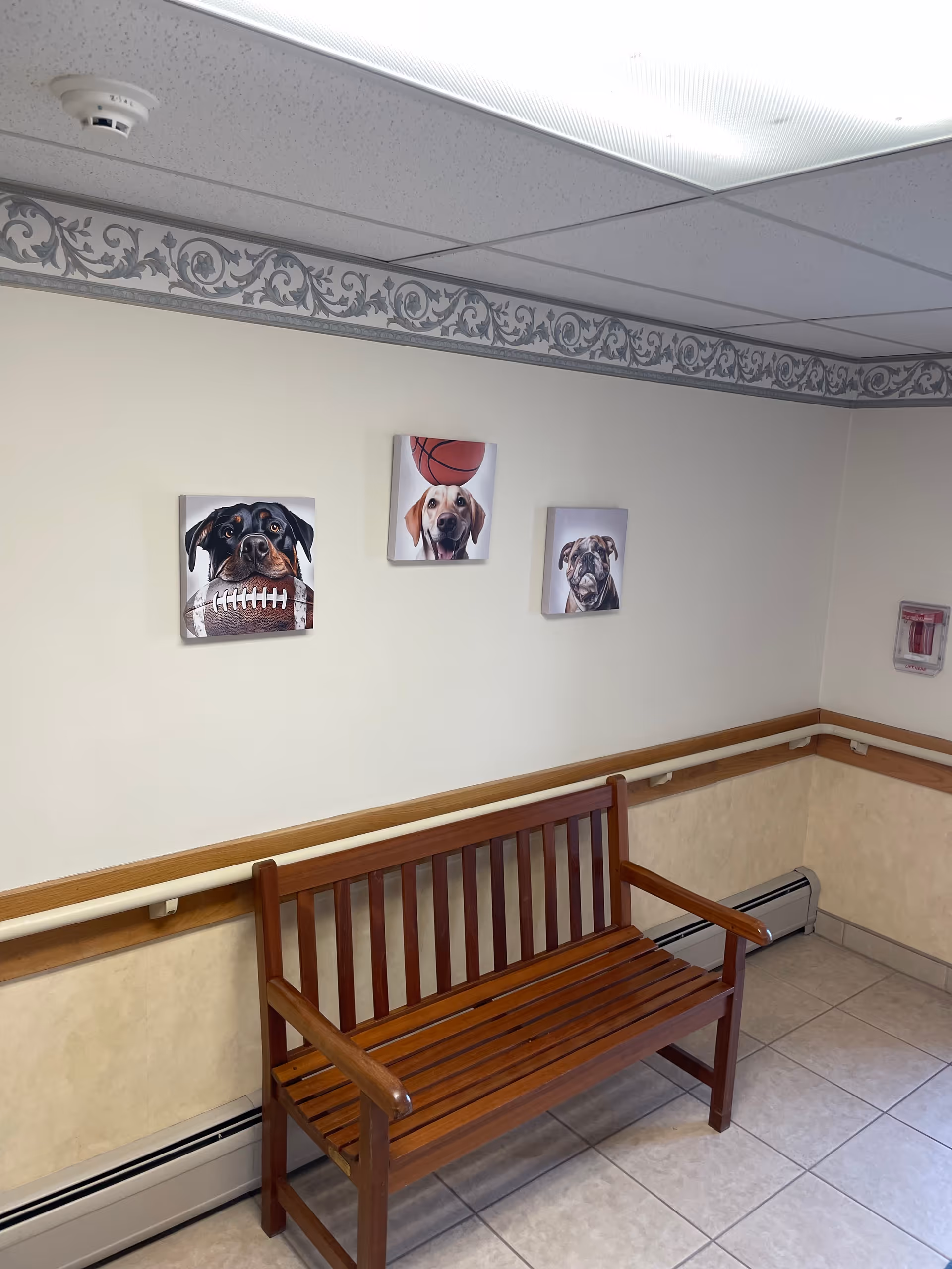 Wooden bench against a hallway wall beneath three dog portraits, with a handrail and tiled floor.