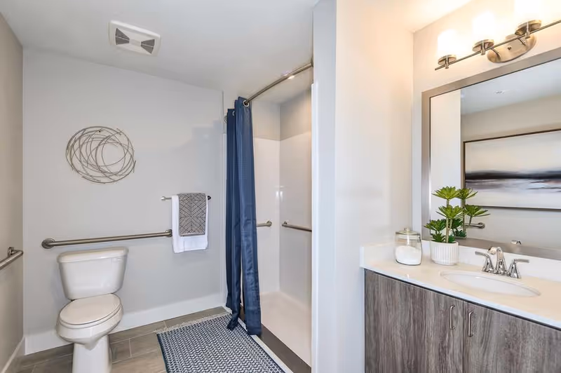 Accessible bathroom with a toilet, walk-in shower with a navy curtain and grab bars, and a vanity with mirror and plant.
