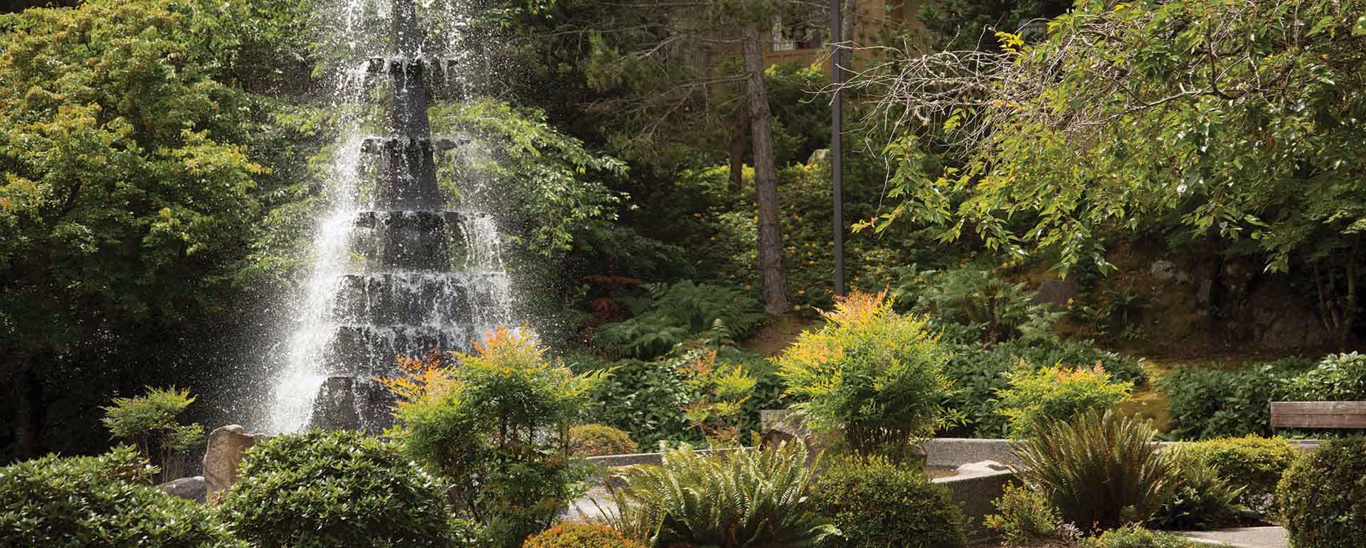 A tiered water fountain surrounded by lush green bushes, plants, and trees in a garden setting with a bench visible on the right side.