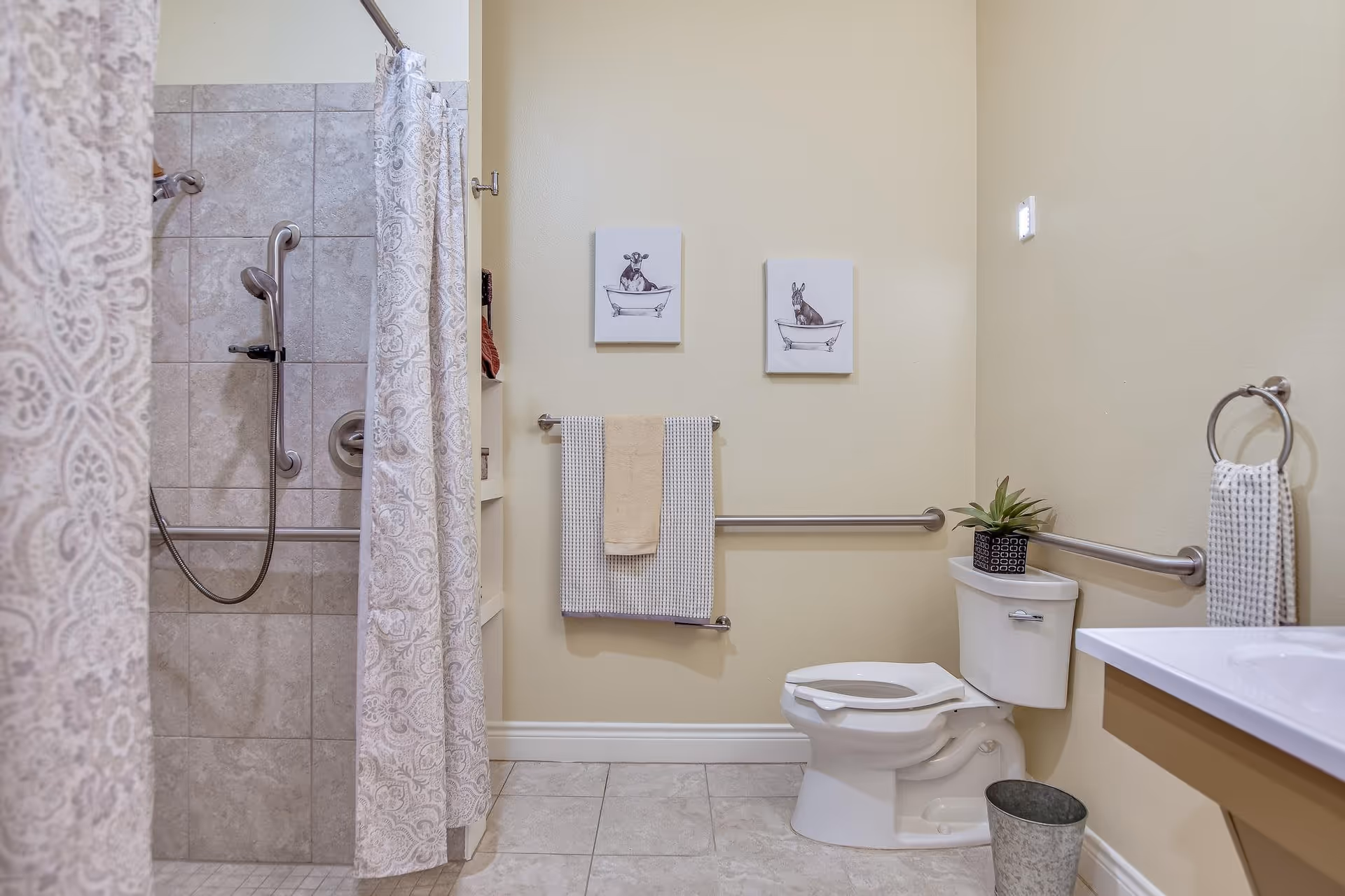 A clean and accessible bathroom with a tiled walk-in shower featuring a handheld showerhead and grab bars. The bathroom has a toilet with a grab bar beside it, a small plant on the toilet tank, a towel rack with two towels, and two framed pictures of animals in bathtubs on the wall. The floor is tiled, and there is a small waste bin near the toilet.