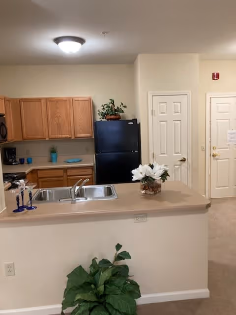 Interior view of a kitchen area in a senior living facility named Summit Point. The kitchen features wooden cabinets, a black refrigerator, a double sink on a beige countertop with a flower vase, and some decorative items. There are two closed white doors and a beige carpeted floor. A green plant is placed in front of the counter.