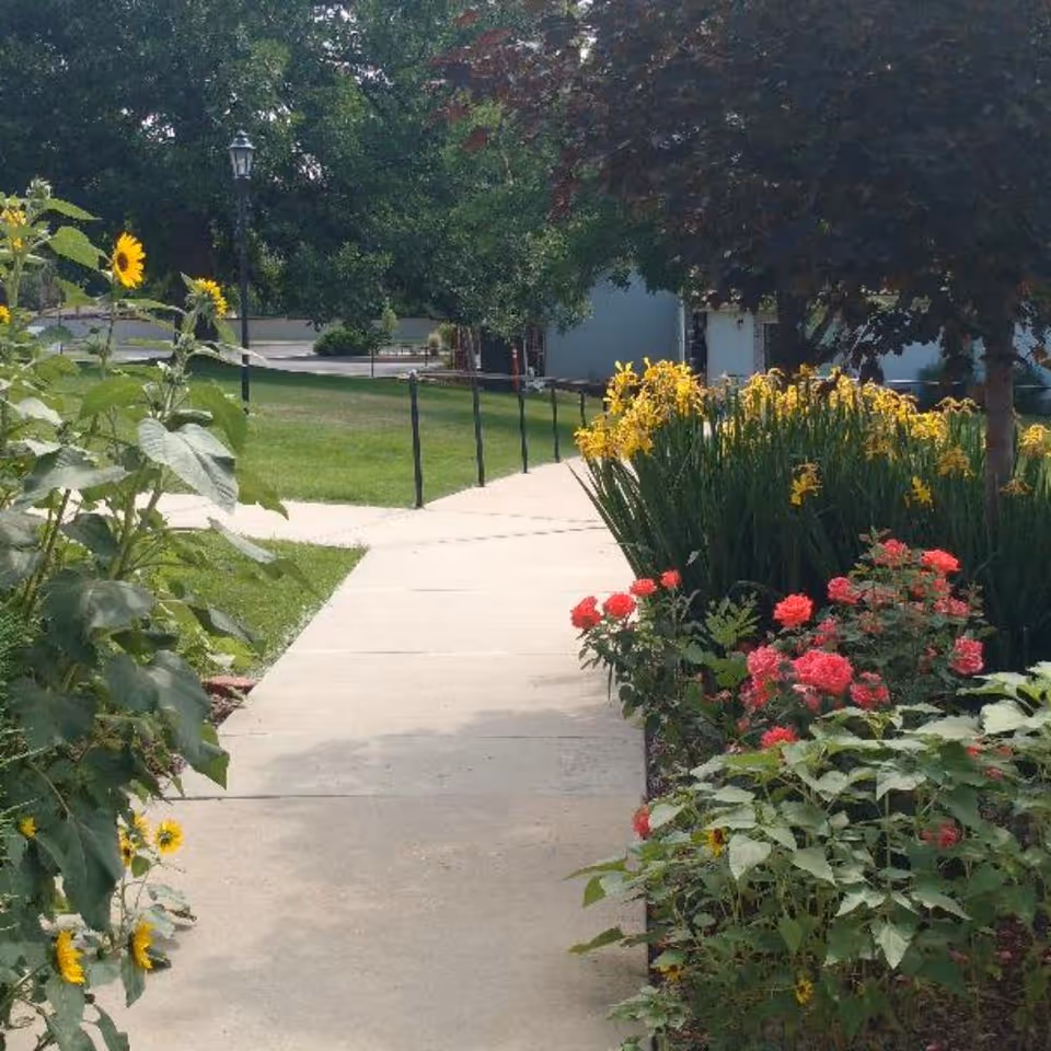 A concrete walkway bordered by vibrant flower beds with yellow sunflowers, red roses, and other greenery, leading through a garden area with trees and a grassy lawn in the background.