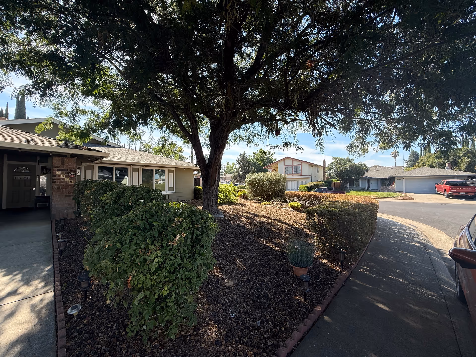 Front yard of a single-story home with shrubs, a large tree, and a curved driveway in a suburban neighborhood.