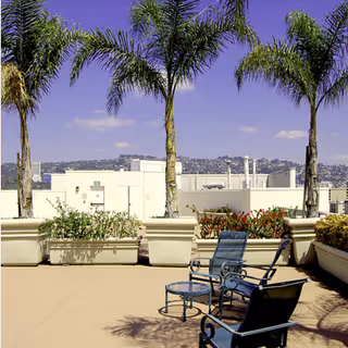Outdoor patio area with three tall palm trees in large planters, two blue metal chairs, and a small round glass-top table. In the background, there is a view of a cityscape with hills under a clear blue sky.