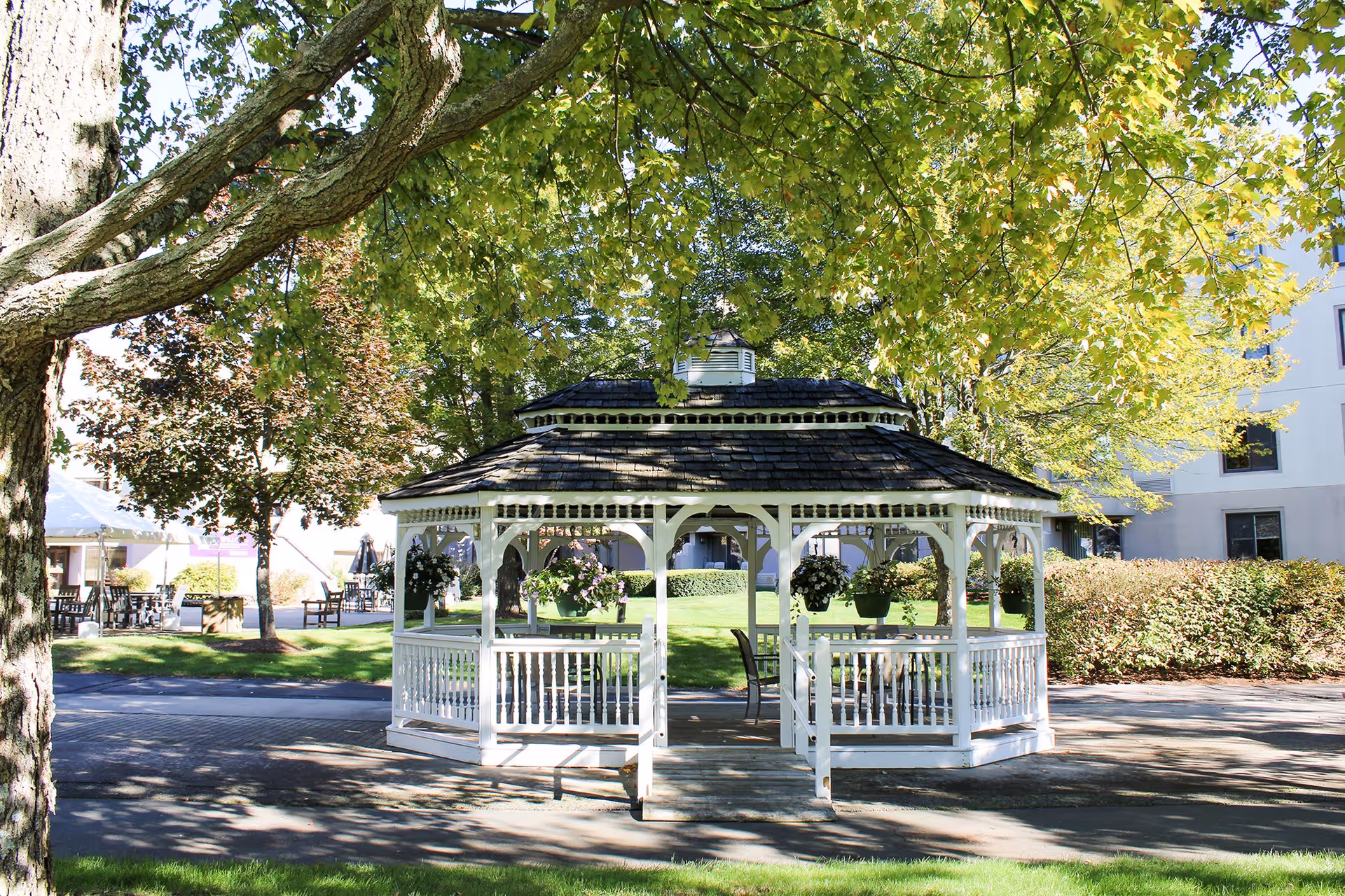 A white wooden gazebo with hanging flower pots is situated in a green outdoor area with trees and shrubs. There are chairs and tables inside the gazebo and more seating areas visible in the background. The scene is bright and sunny with shadows cast by the trees.