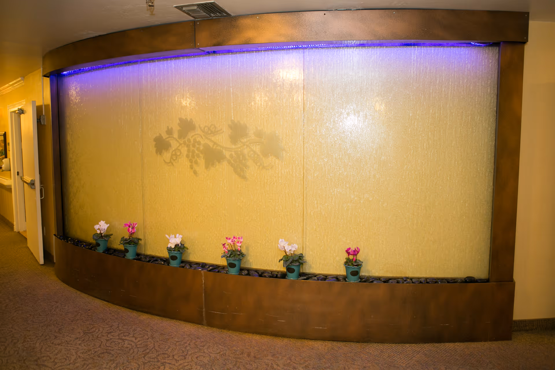 Indoor water wall feature with a bronze frame and a grapevine design etched on the glass. Below the water wall are small potted plants with pink and white flowers placed on a bed of black stones. The area is carpeted and there is a hallway with doors visible to the left.
