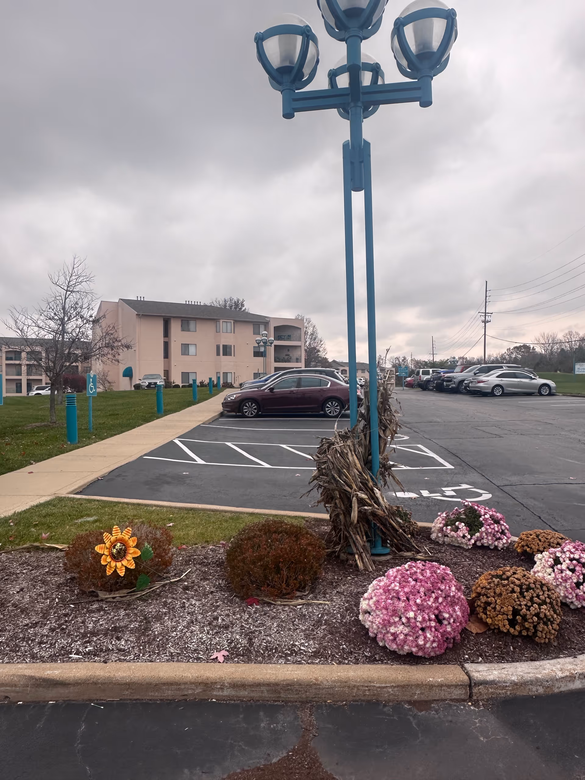 Parking lot area with several parked cars and a three-lamp streetlight decorated with dried cornstalks. There are flower beds with pink and brown flowers and a decorative sunflower near the curb. In the background, there is a three-story beige building with balconies and windows under a cloudy sky.
