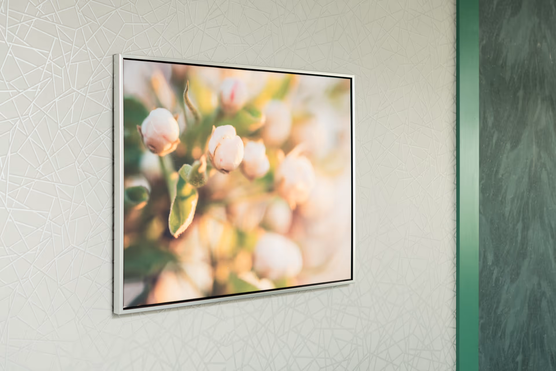A framed photograph of white flower buds with green leaves, hanging on a light-colored wall with a subtle geometric pattern. There is a green door or panel visible on the right side of the image.
