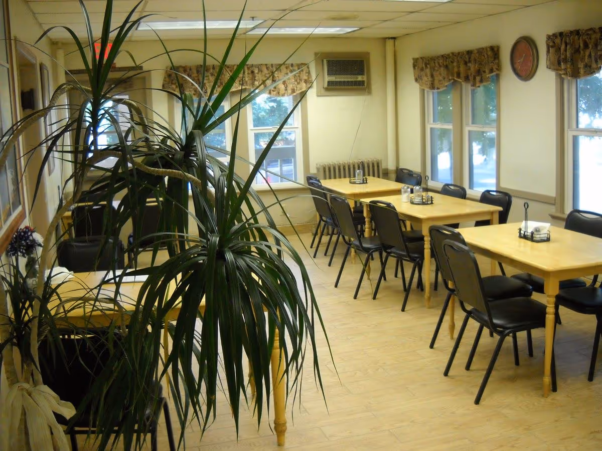 Communal dining room with wooden tables and black chairs, a large potted plant in the foreground and windows along the far wall.