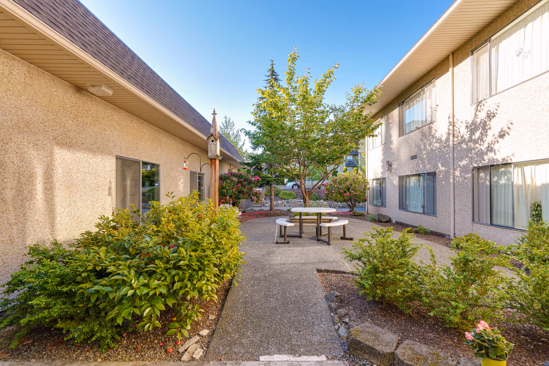 A sunny courtyard between two beige buildings with a central tree, round picnic table and surrounding shrubs.