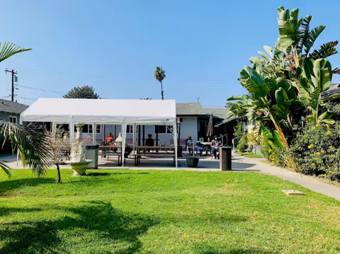 Outdoor area of a facility with a green lawn, a white canopy tent covering picnic tables, several people sitting and socializing, and large tropical plants on the right side under a clear blue sky.