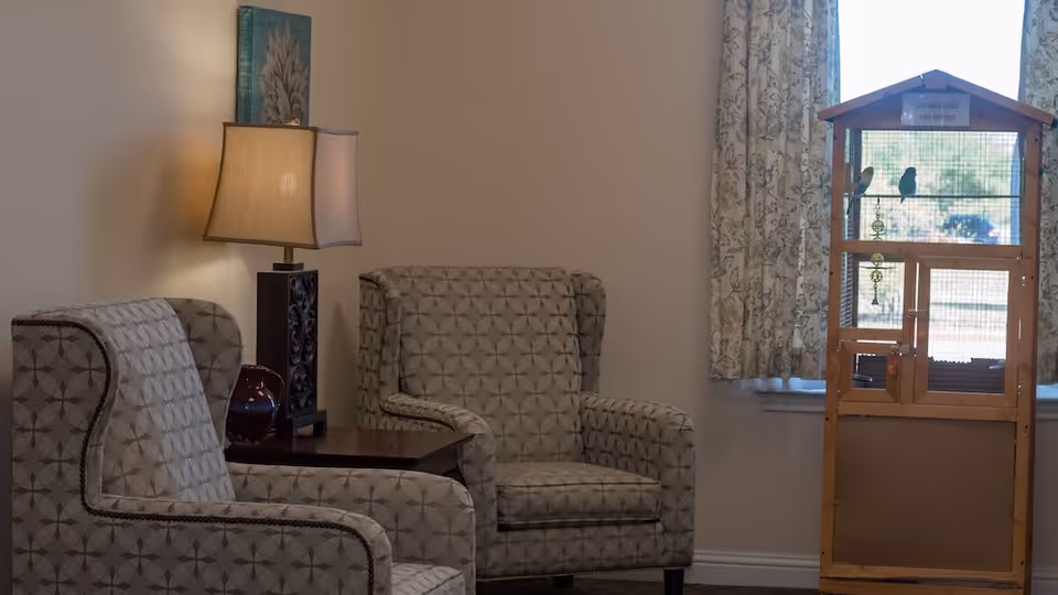 A cozy sitting area with two patterned armchairs and a wooden side table with a lamp and decorative vase. Next to the window with floral curtains is a wooden birdcage containing two birds and a sign that reads 'DO NOT FEED THE BIRDS'.