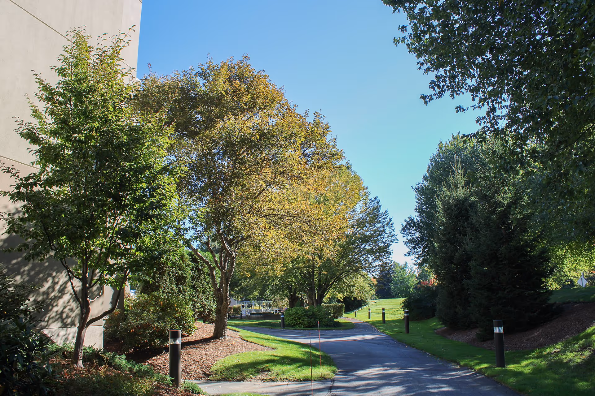 A paved pathway winding through a landscaped outdoor area with green grass, various trees, and shrubs under a clear blue sky. The side of a building is visible on the left.