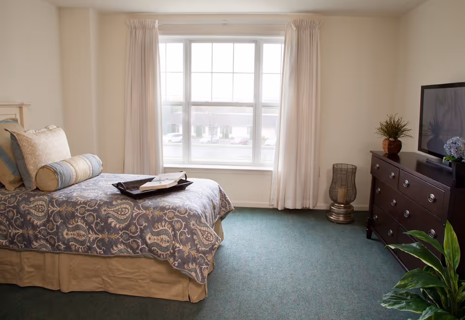 A bedroom with a bed covered in a patterned blue and beige bedspread, several pillows, and a tray with an open book on it. There is a large window with white curtains letting in natural light. To the right, there is a dark wooden dresser with a flat-screen TV on top, along with a potted plant and a decorative item. A green carpet covers the floor and a leafy green plant is visible in the bottom right corner.