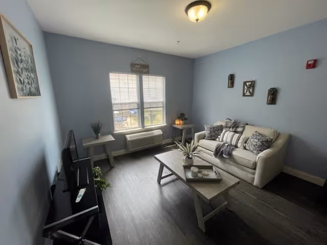 A cozy living room with light blue walls, a beige sofa adorned with patterned pillows and a throw blanket, a wooden coffee table with decorative items, a TV on a black stand, two side tables with plants and decor, and a window letting in natural light.