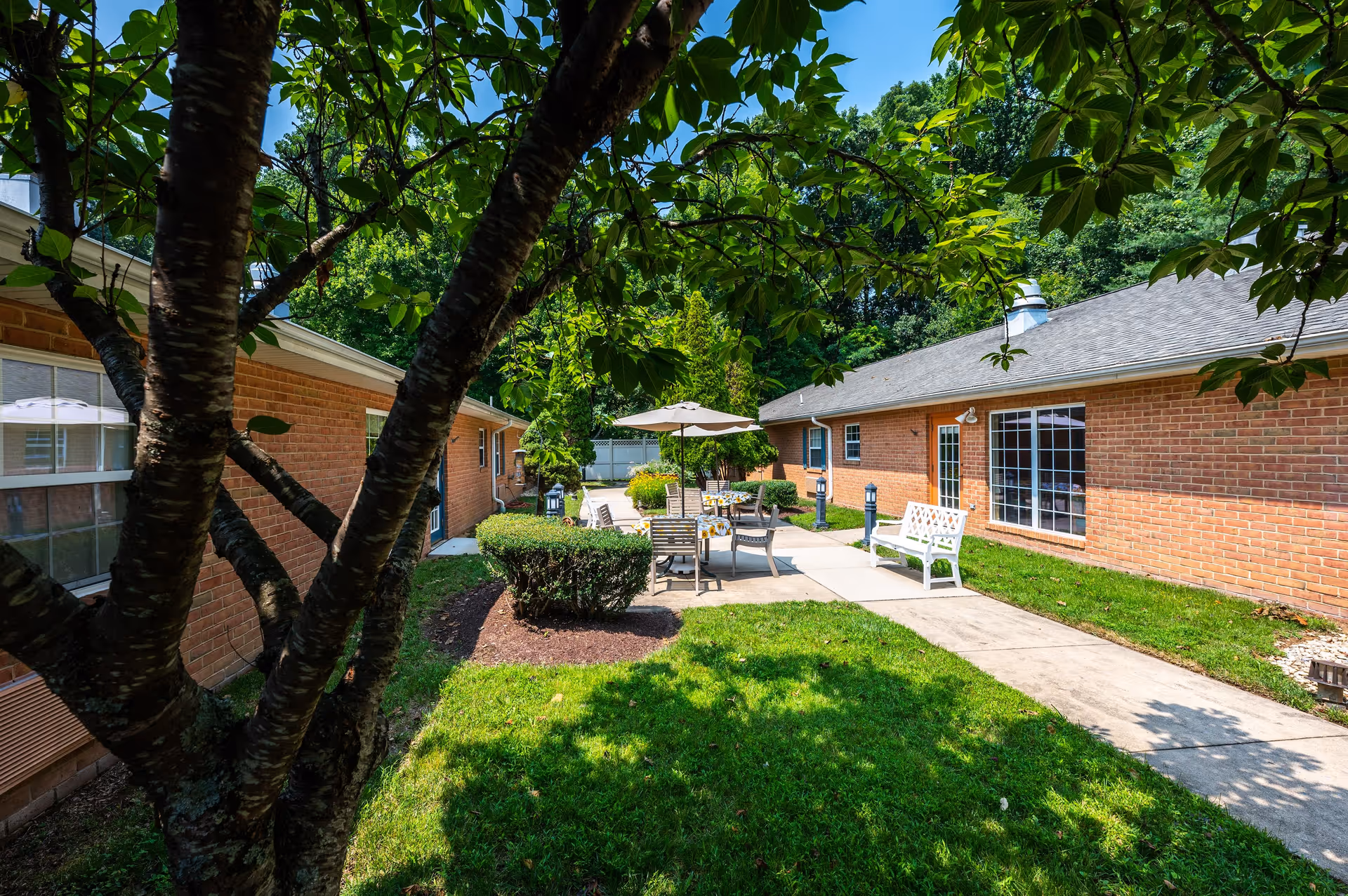 Outdoor courtyard area between two single-story brick buildings with a tree in the foreground, green grass, bushes, a concrete walkway, white benches, and a table with chairs under a large umbrella.