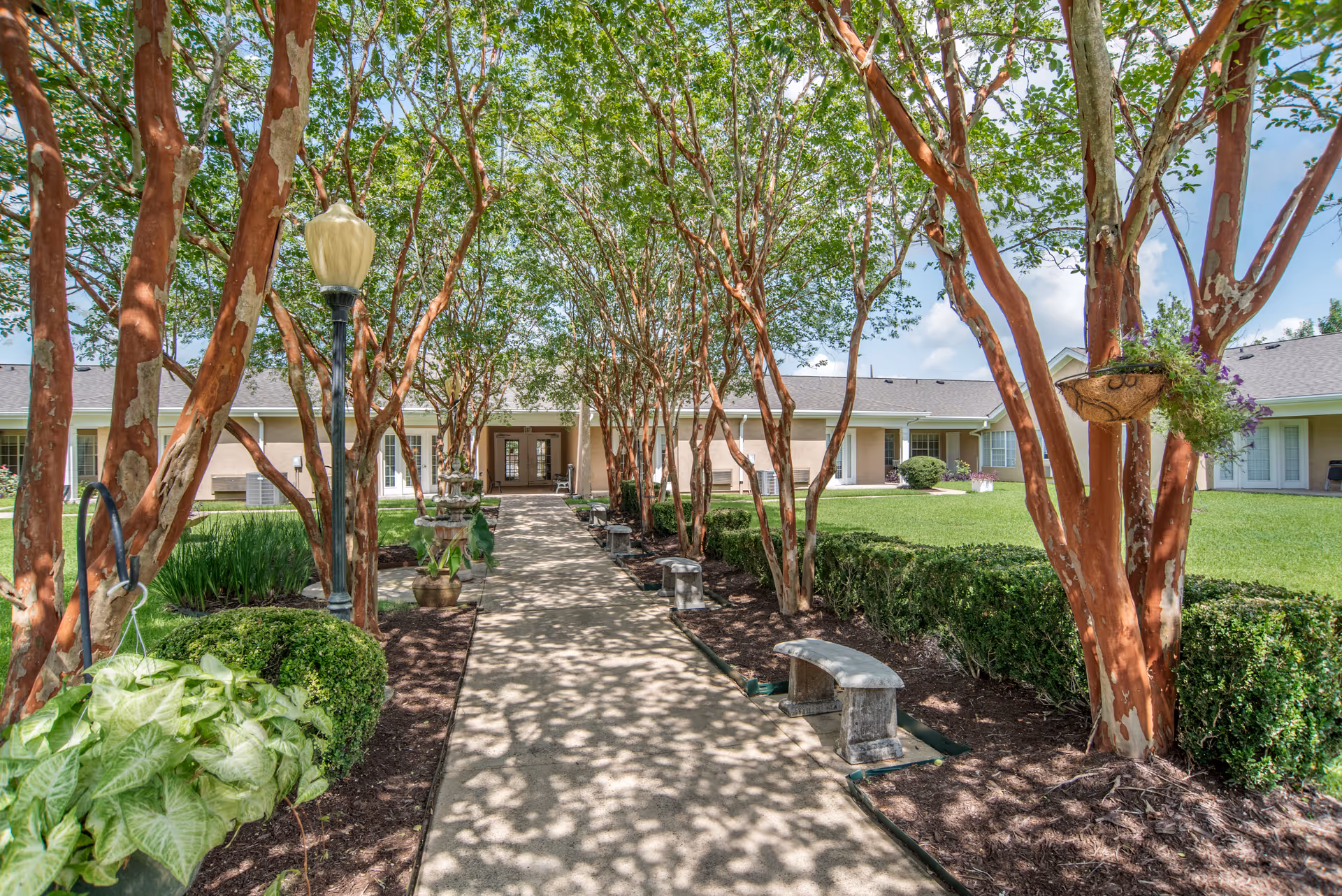 A shaded walkway lined with trees and benches leads to the entrance of a single-story building with beige walls and white-framed windows. The pathway is surrounded by neatly trimmed bushes and hanging flower pots, with a lamppost on the left side.