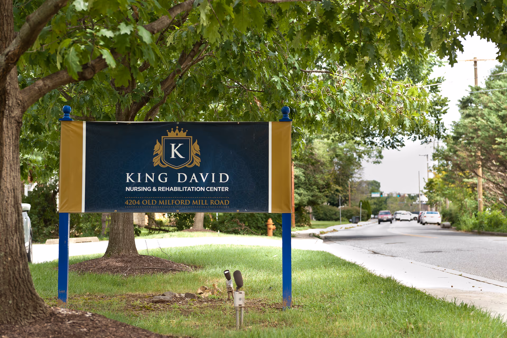 Roadside sign for King David Nursing & Rehabilitation Center beneath trees along a residential street.