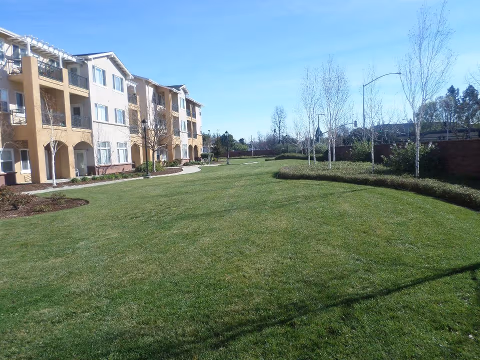 A large grassy lawn area with a curved walkway, bordered by small trees and shrubs. On the left side, there is a multi-story residential building with balconies and windows. The sky is clear and blue.