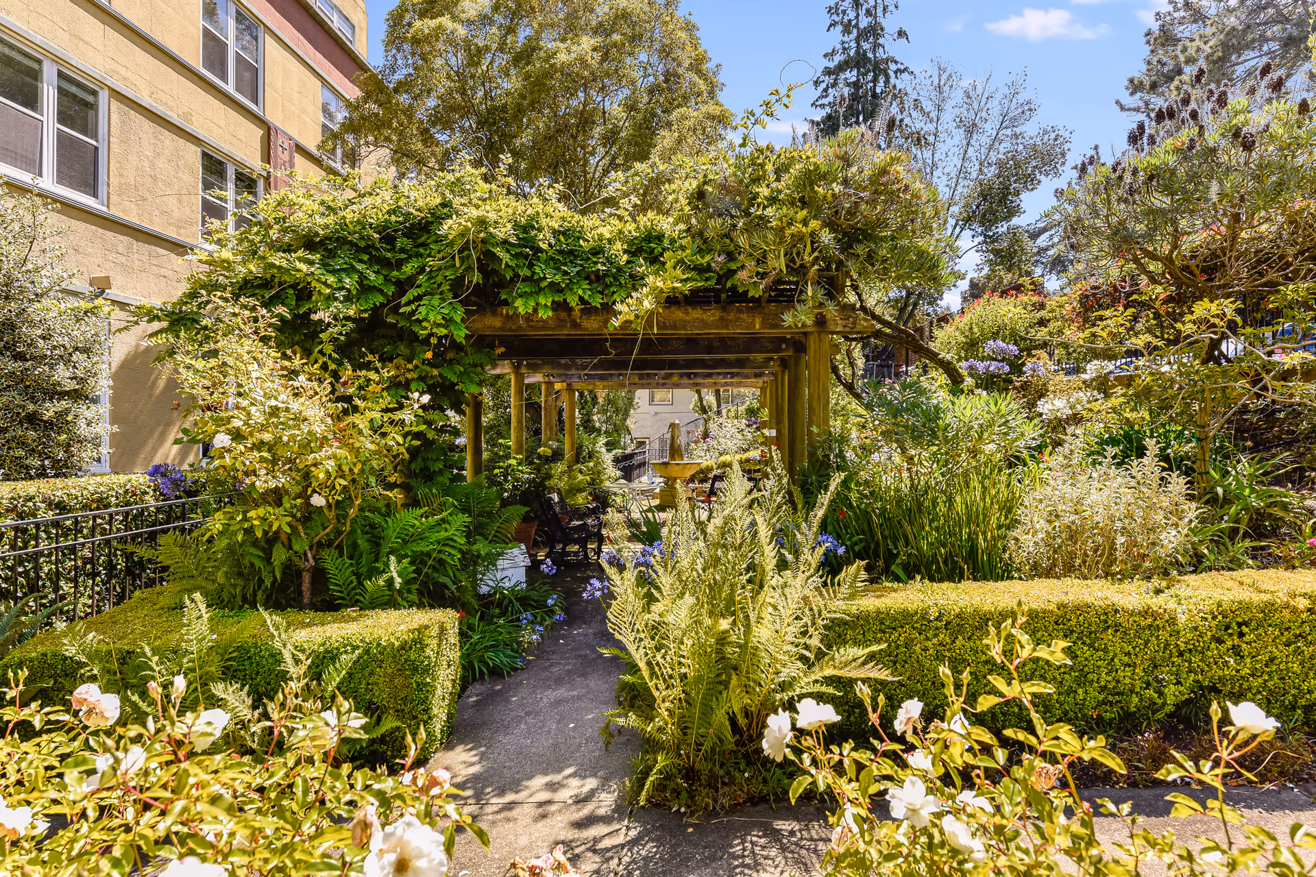 A lush garden area at Buena Vista Manor House featuring a wooden pergola covered with green vines and plants. The garden is filled with various shrubs, flowers, and ferns, with a paved pathway leading through the pergola. There are benches under the pergola and a fountain visible in the background. The side of a yellow building with multiple windows is visible on the left side of the image.