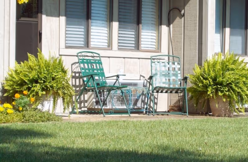 Two green metal chairs and a small round table on a patio outside a building with windows. There are large potted ferns on either side of the chairs and a well-maintained grassy lawn in the foreground.
