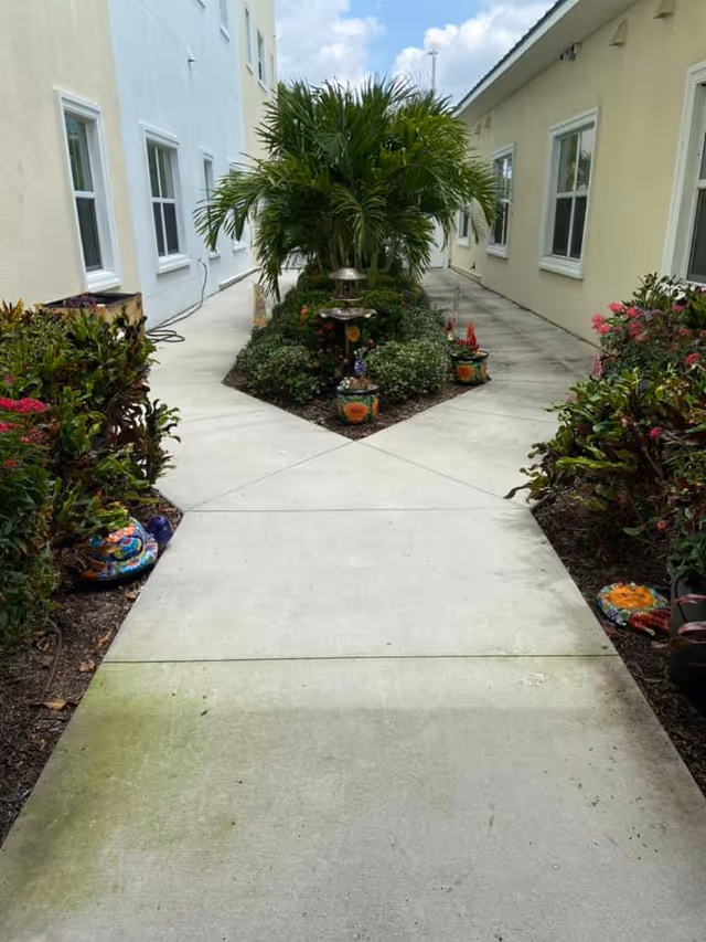 A concrete walkway in a garden area between two light-colored buildings. The walkway splits into two paths around a central garden bed with green shrubs, a small palm tree, and decorative flower pots. The sky is partly cloudy.
