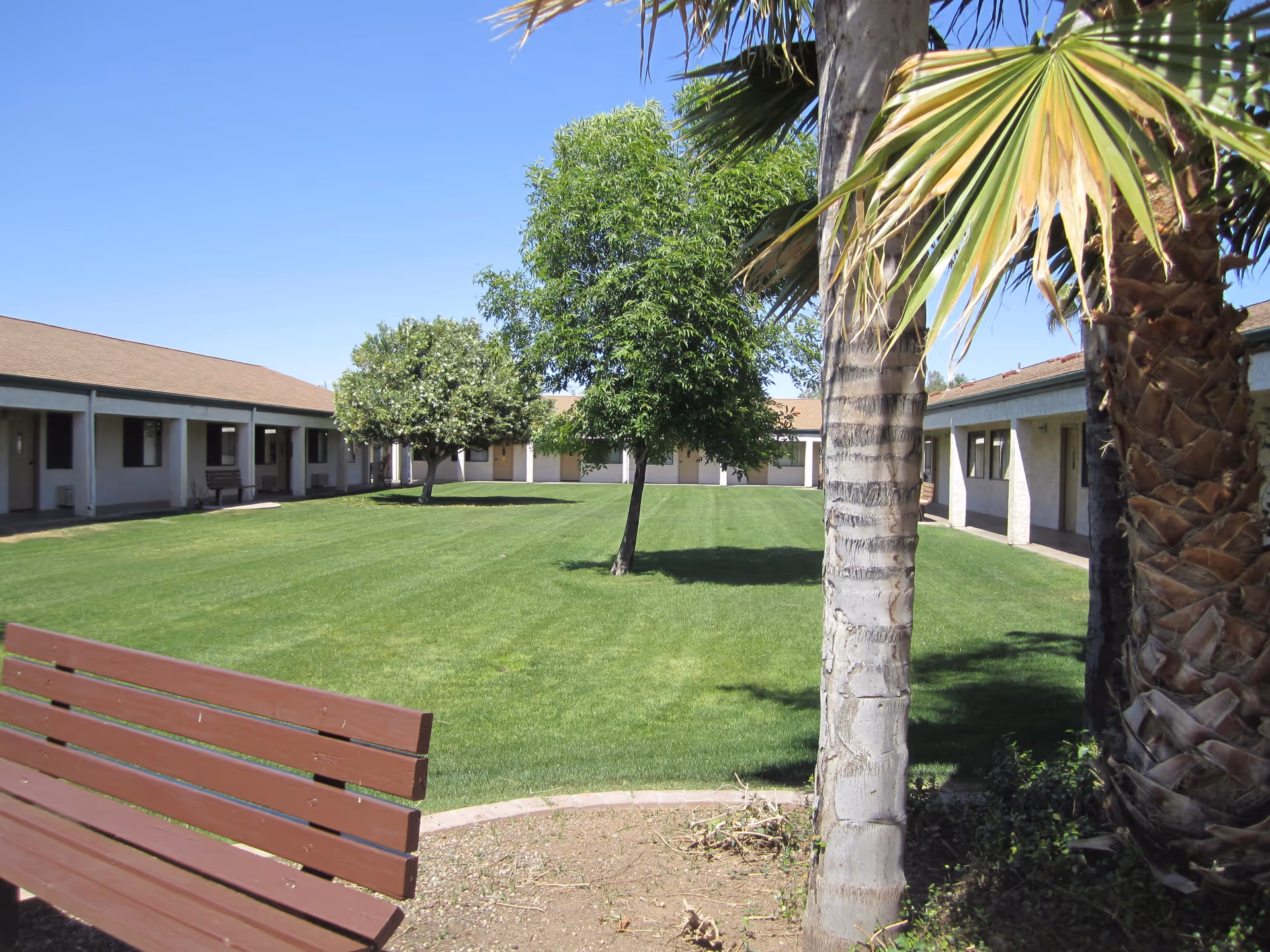 Outdoor courtyard area at Paseo Village with a well-maintained green lawn, several trees including palm trees, a brown wooden bench in the foreground, and single-story buildings with covered walkways surrounding the grassy area under a clear blue sky.